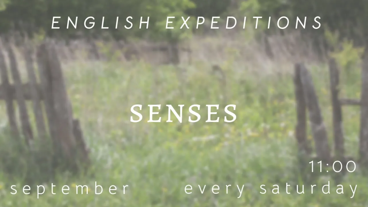 English Expedition.Sense of Touch