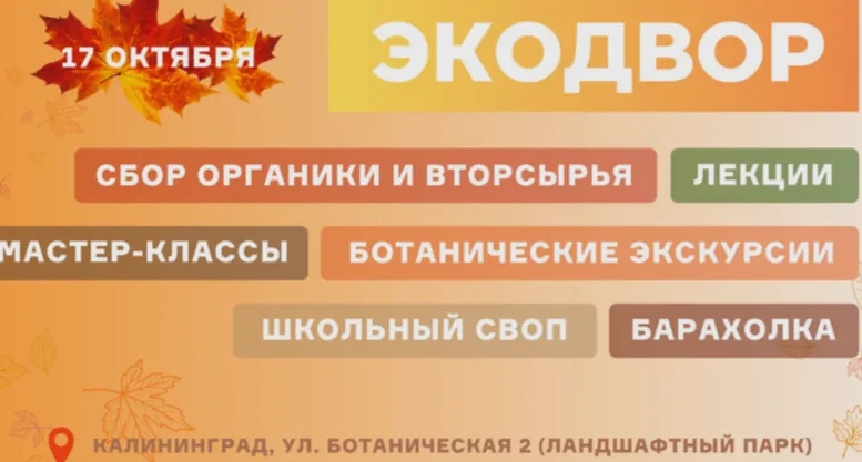 Осенний Экодвор