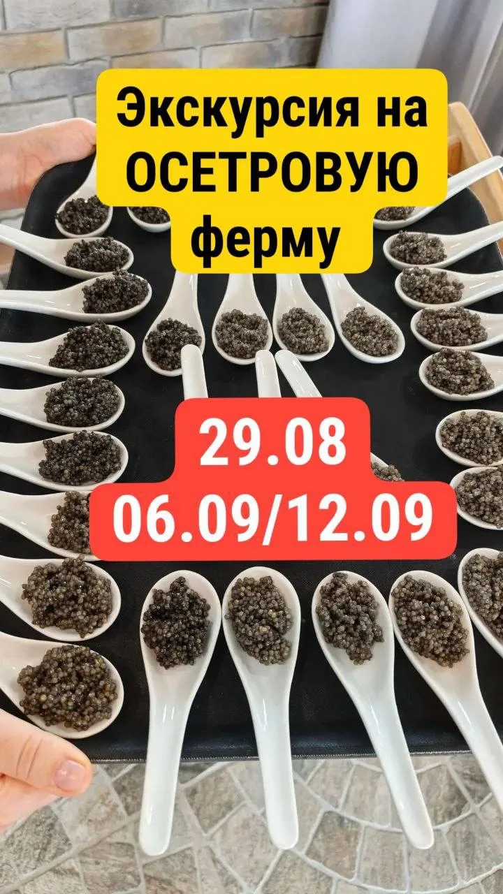 экскурсия «Икра, улитки, осетрина» с дегустацией