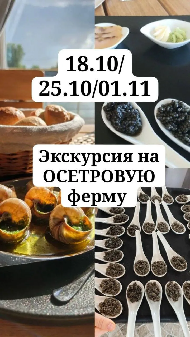 «Икра, улитки, осетрина» с дегустацией