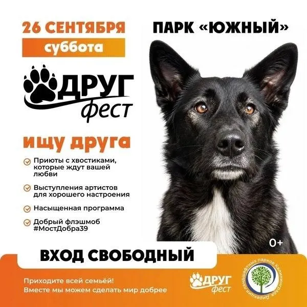 В субботу парк Южный ждёт всех, кто любит животных и хочет подарить им дом