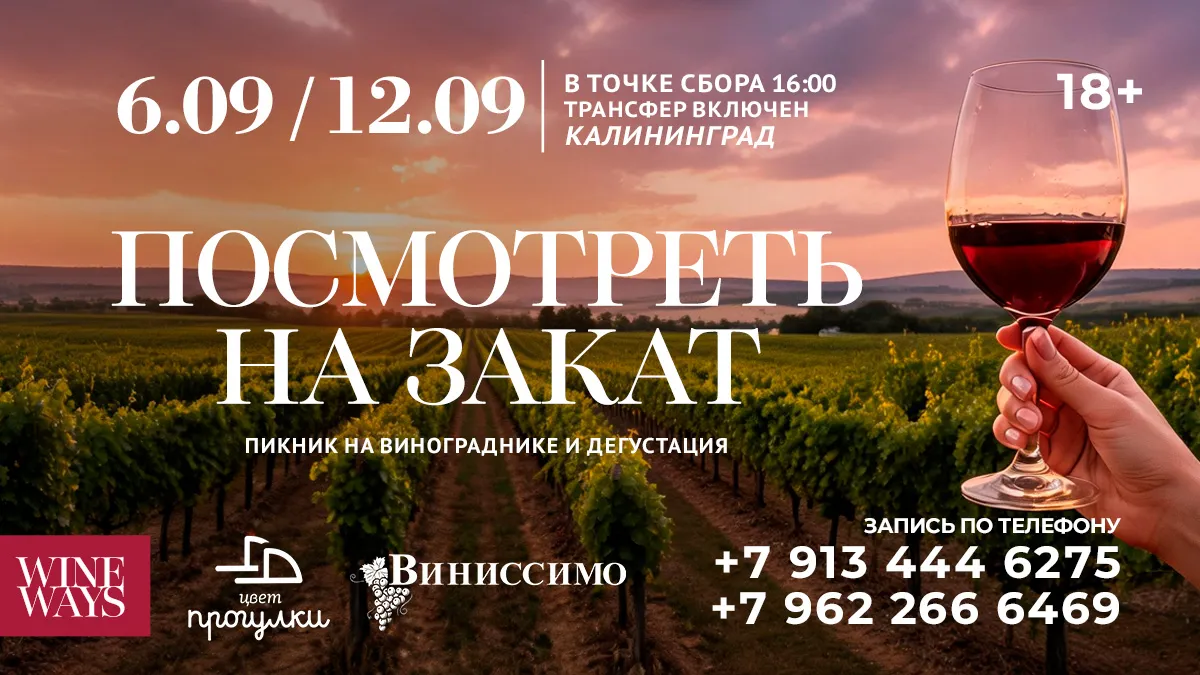ПОСМОТРЕТЬ НА ЗАКАТ: путешествие на виноградник и дегустация