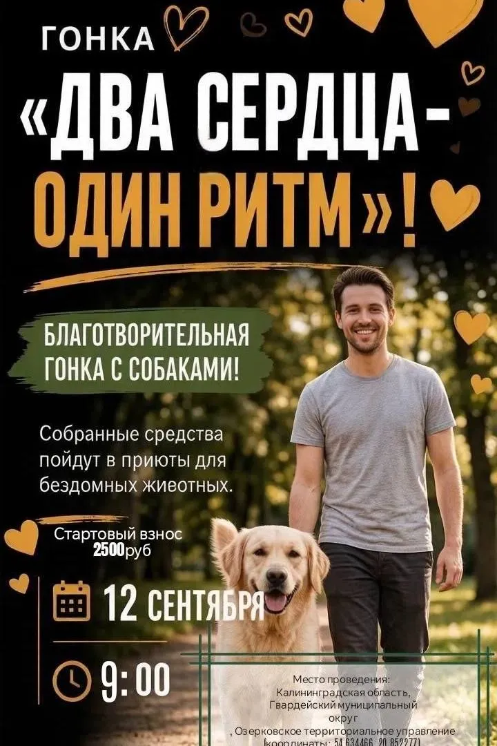 благотворительный забег с собаками «Балтийский Dog Drive»