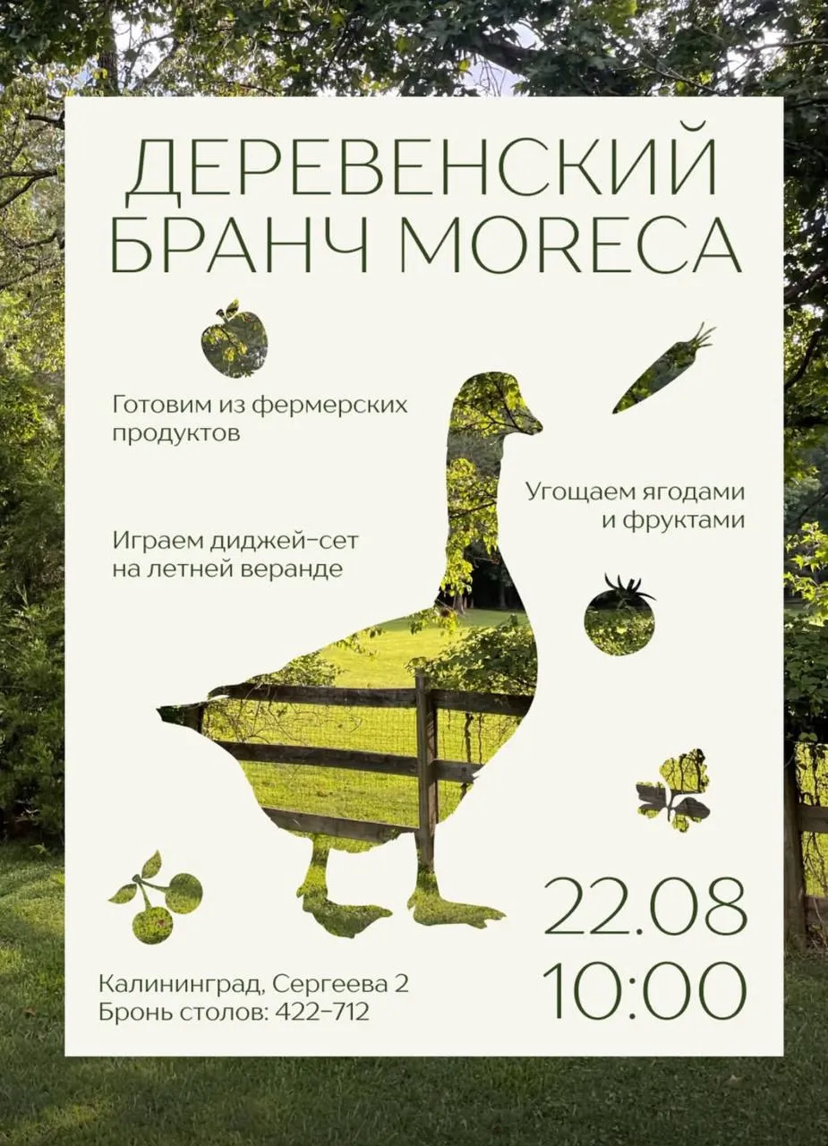 Деревенский бранч в Moreca