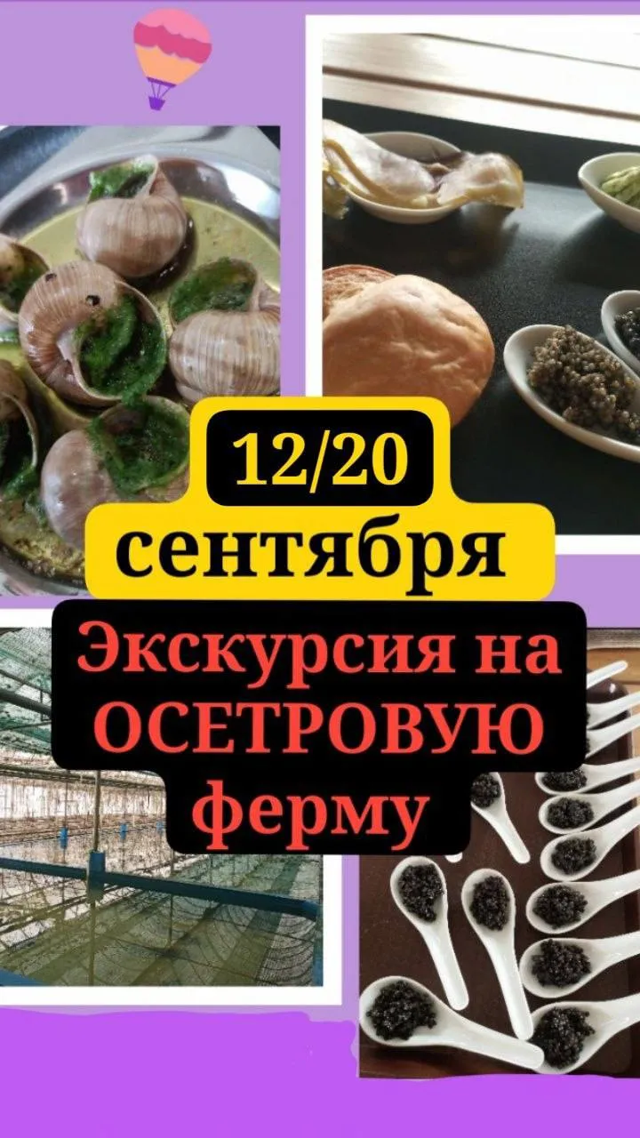 «Икра, улитки, осетрина» с дегустацией