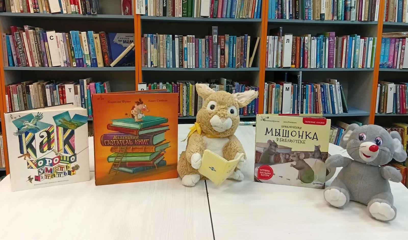 Литературно-познавательная программа «Нам с книгой назначена встреча»